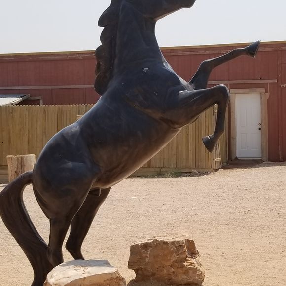 Meet your Posher, Jackie - Picture 1 of 1